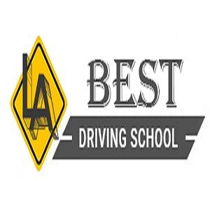 <p>Ca driving school</p>