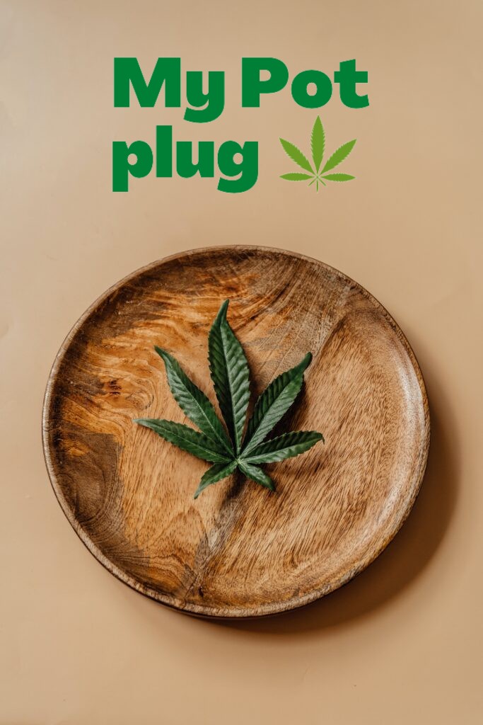 <p>Best online weed seller  in usa</p>