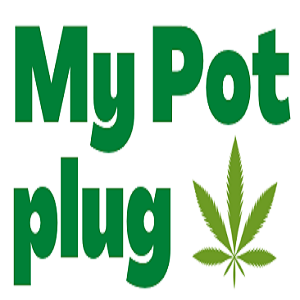 <p>Best online weed seller  in usa</p>